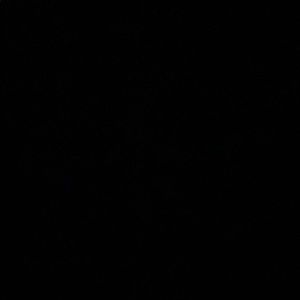 Meet your Posher, De’jah